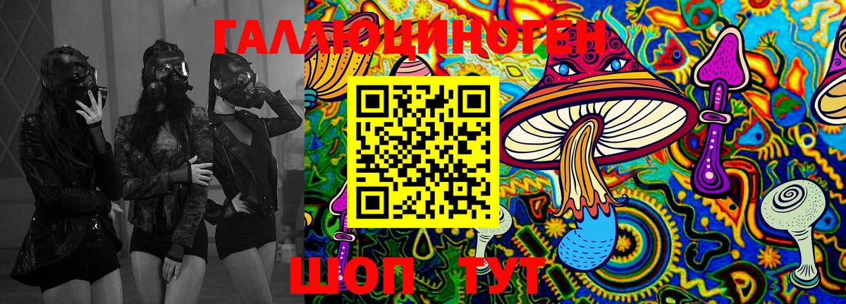 Псилоцибиновые грибы Magic Shrooms  Галлюциногенные грибы Psilocybine cubensis  Муром  Вход с VPN 